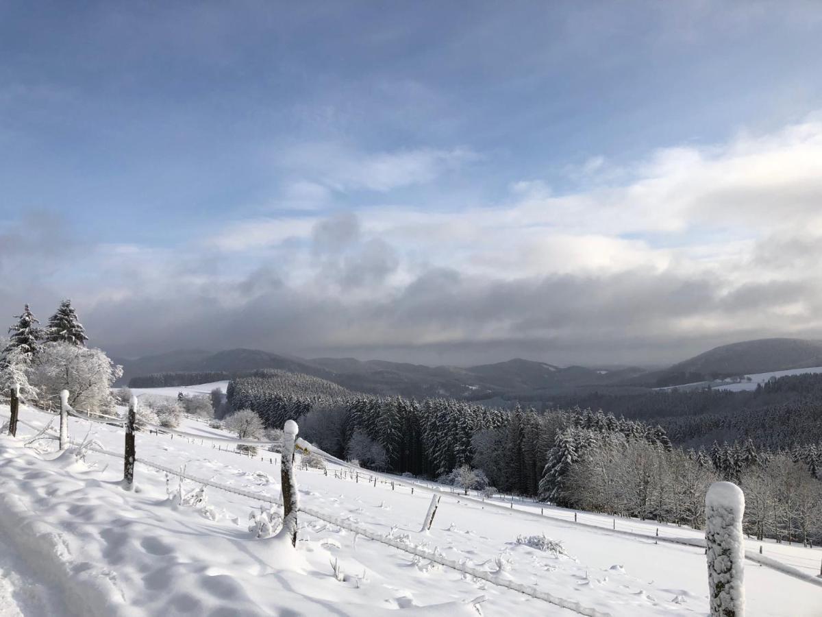 Ferienhaus Kuestelblick Medebach Kültér fotó