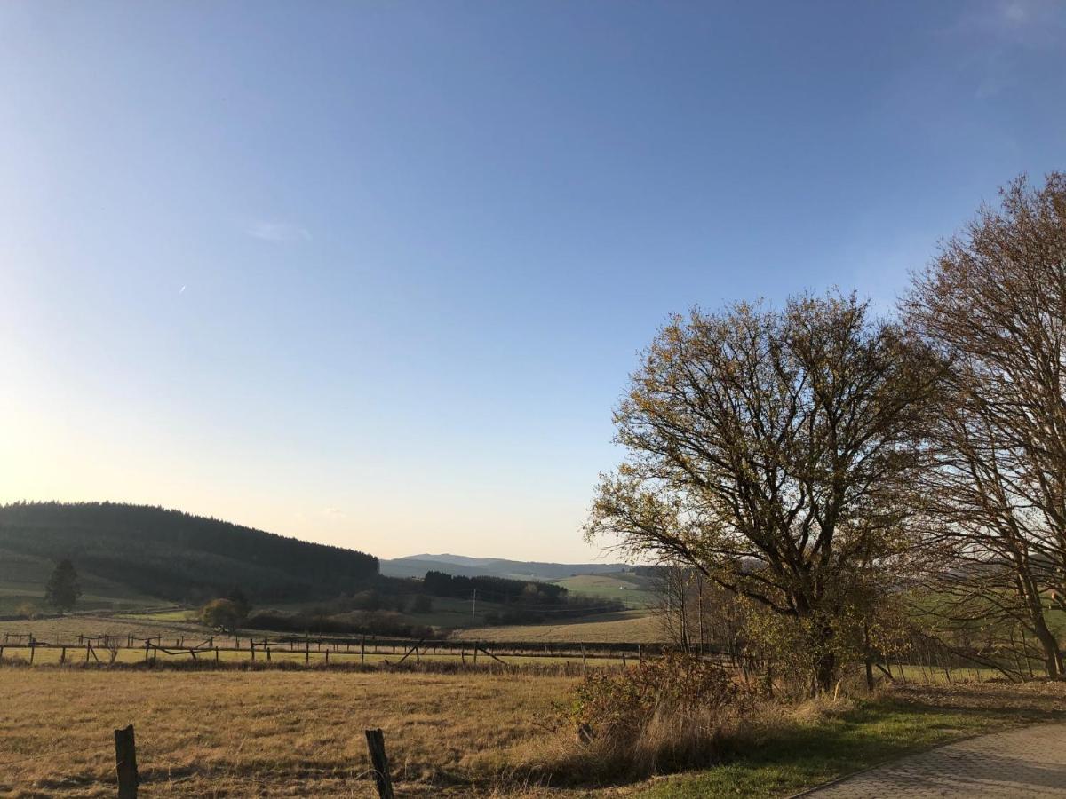 Ferienhaus Kuestelblick Medebach Kültér fotó