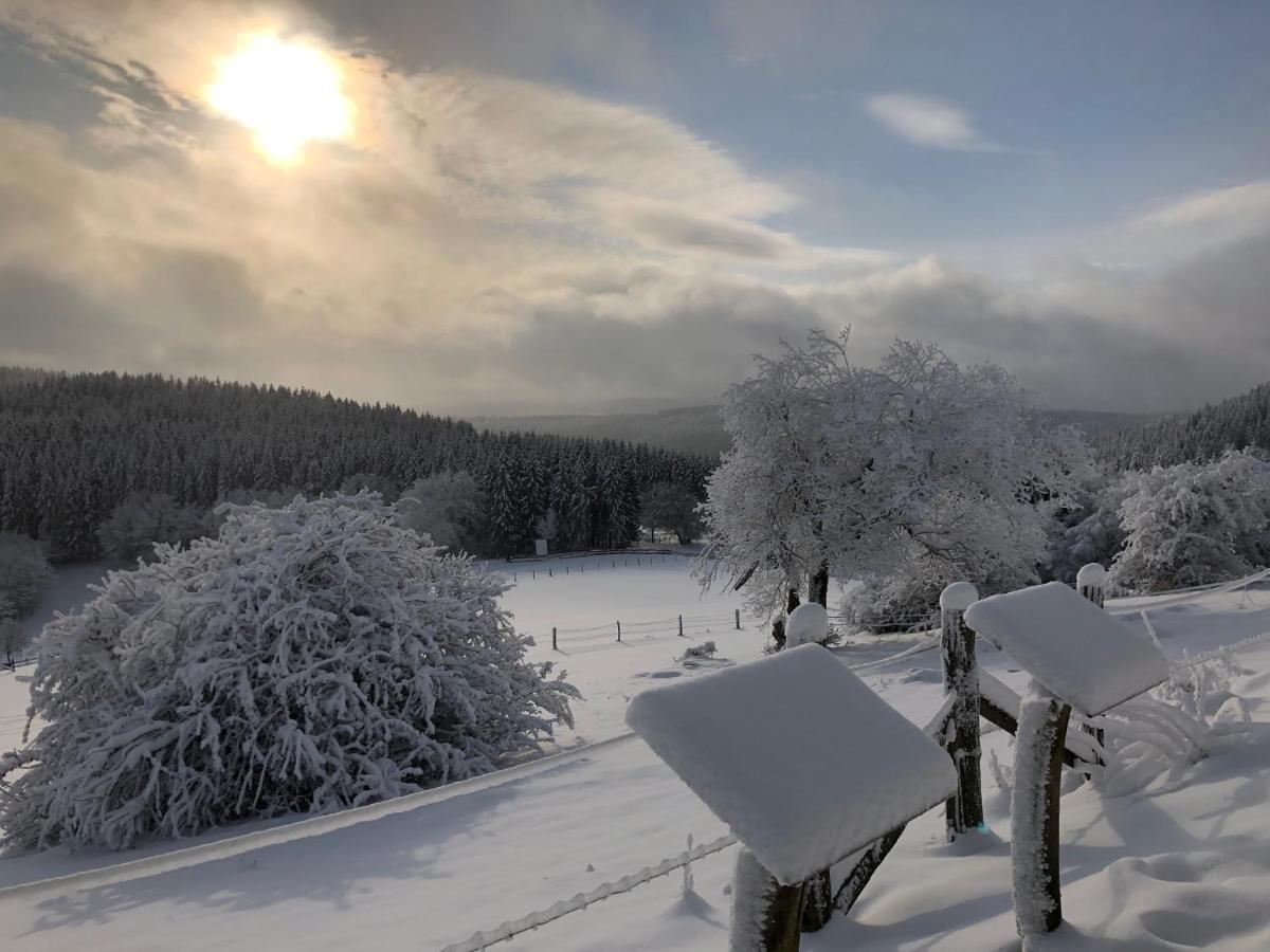 Ferienhaus Kuestelblick Medebach Kültér fotó